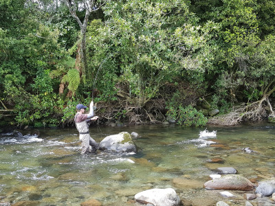 TRL1Jan23. Summer action on the Taranaki ringplain photo Curly McEwen.