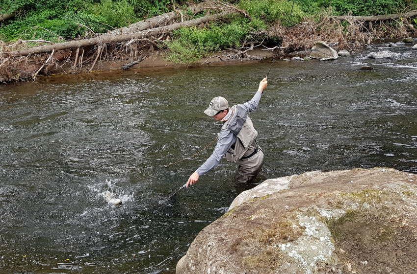 Taranaki Reel Life March 2018