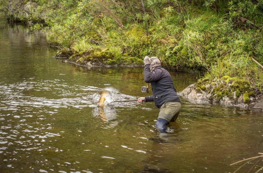 Wellington Reel Life March 2019
