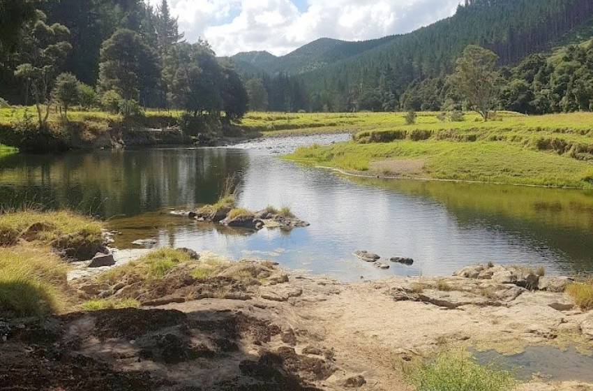 Northland Reel Life March 2019