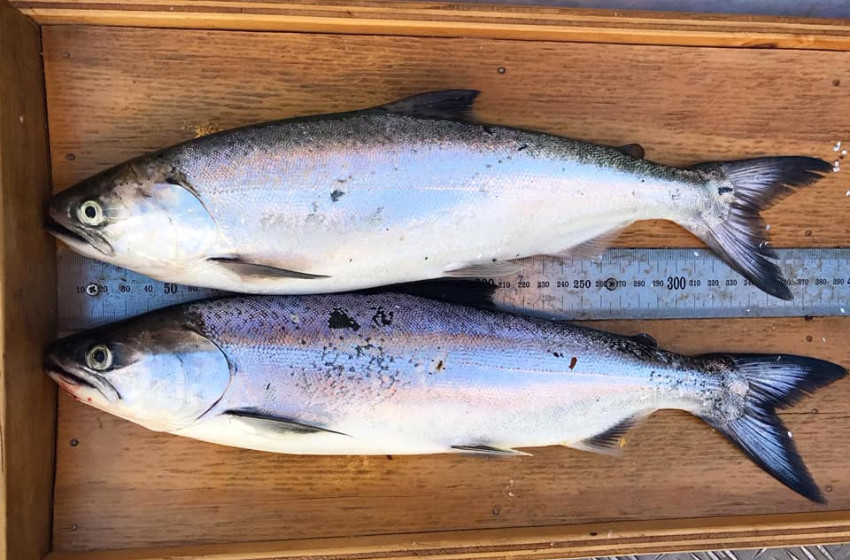 Reel Life March 2021