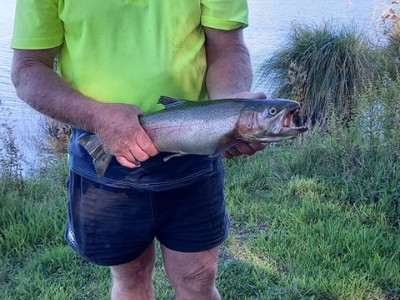 Steve Houghton caught this 3.5lb fish spinning at Lake Okaro