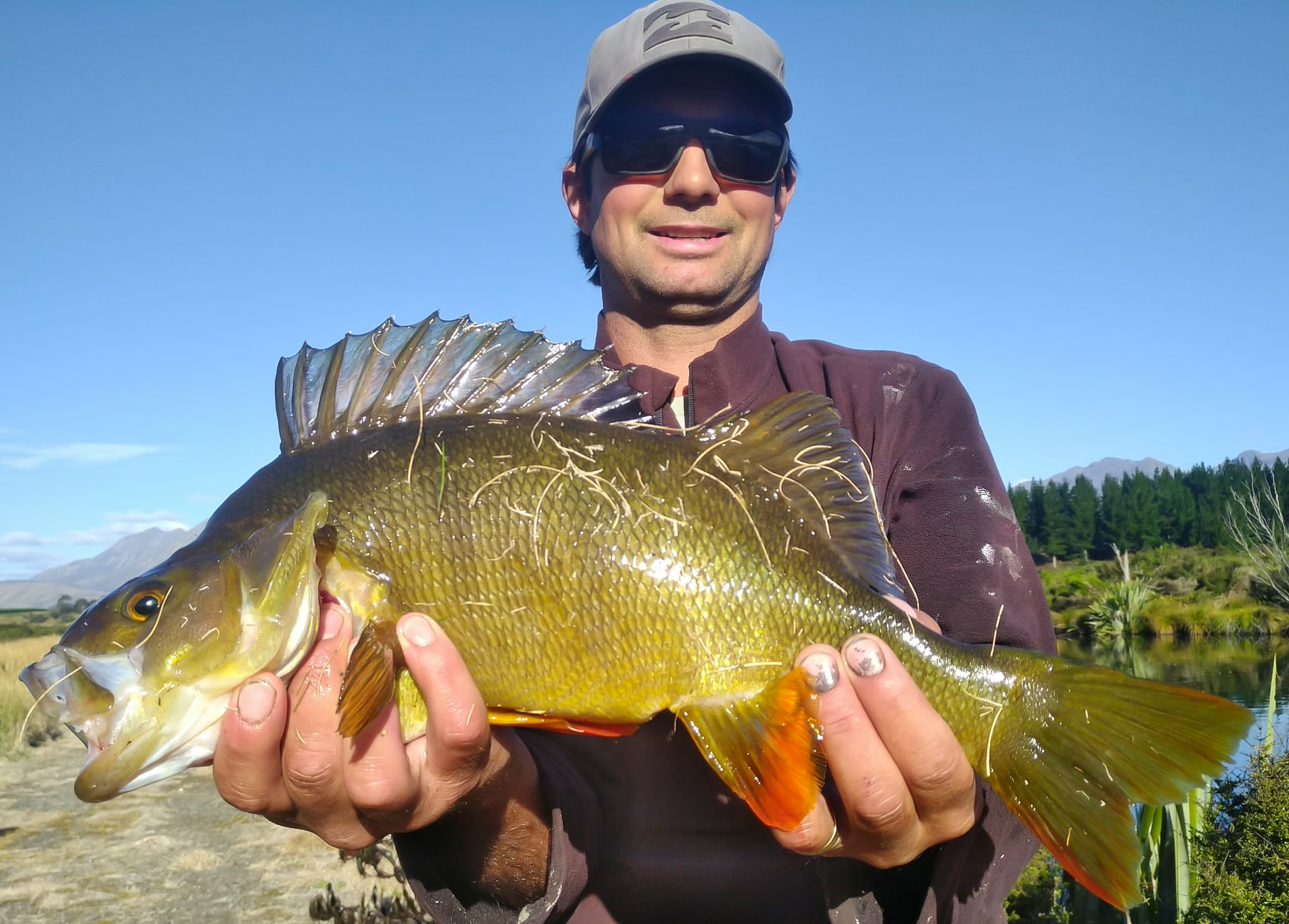 Paddy D + perch 01