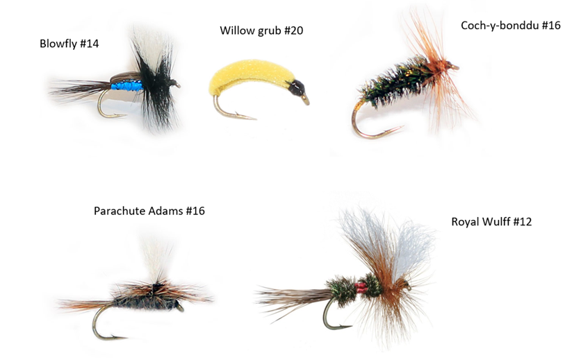 Summer dry flies