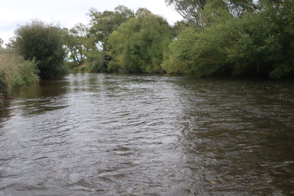IMG 8810