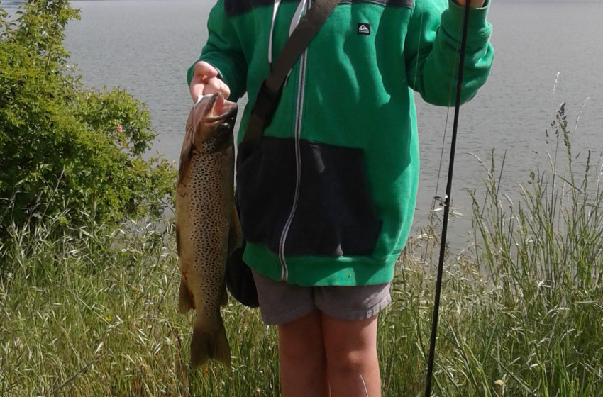 Central South Island Reel Life November 2018