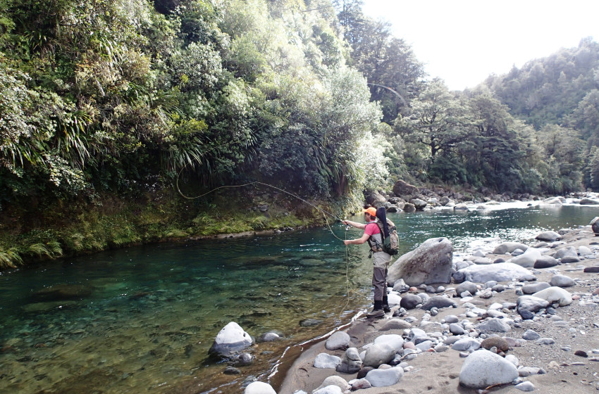 Auckland/Waikato Reel Life November 2019