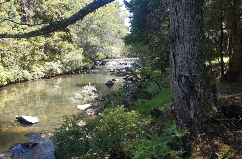 Northland Reel Life November 2019