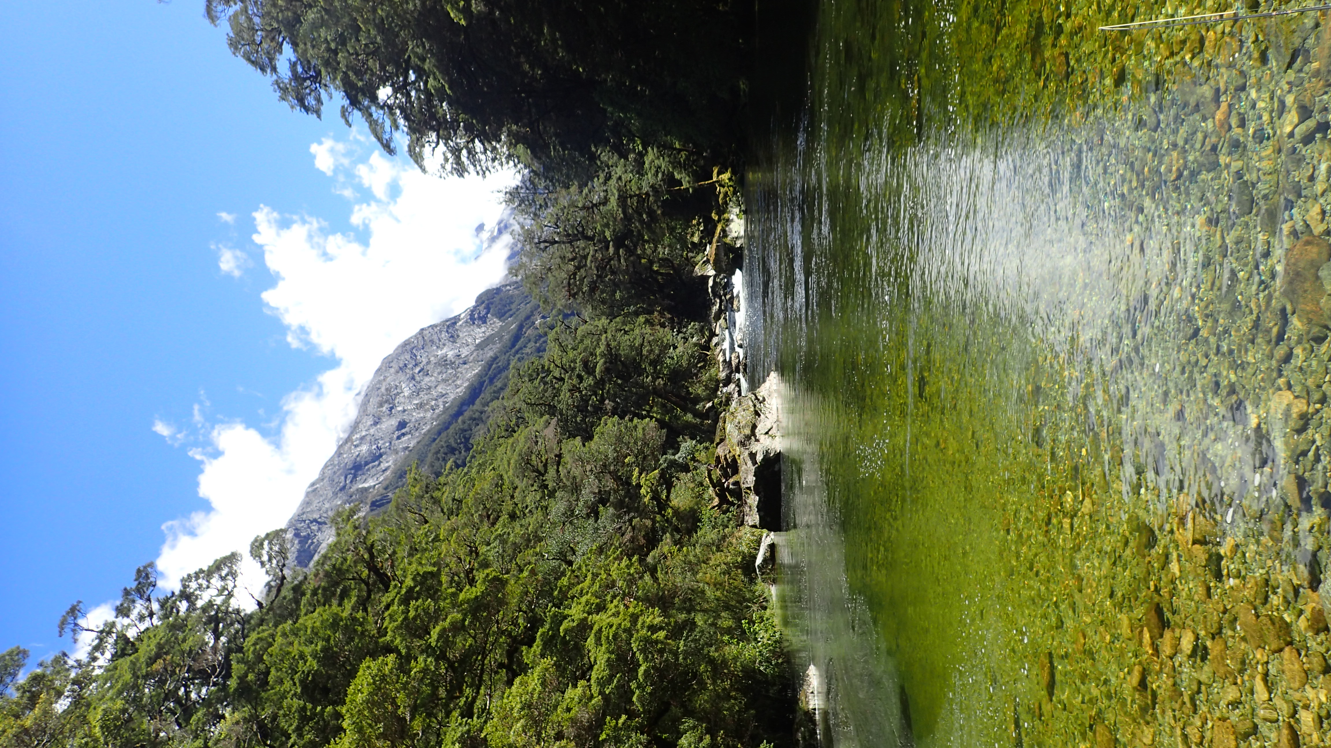 Clinton Valley