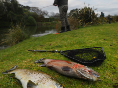 Success at the Ohau Channel2