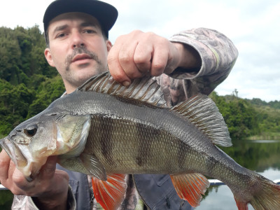 TRL1Nov20. Carlos Vale and his Lake Rotokare perch.