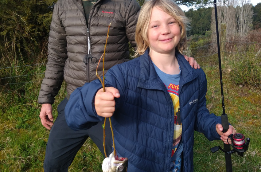 Reel Life November 2021