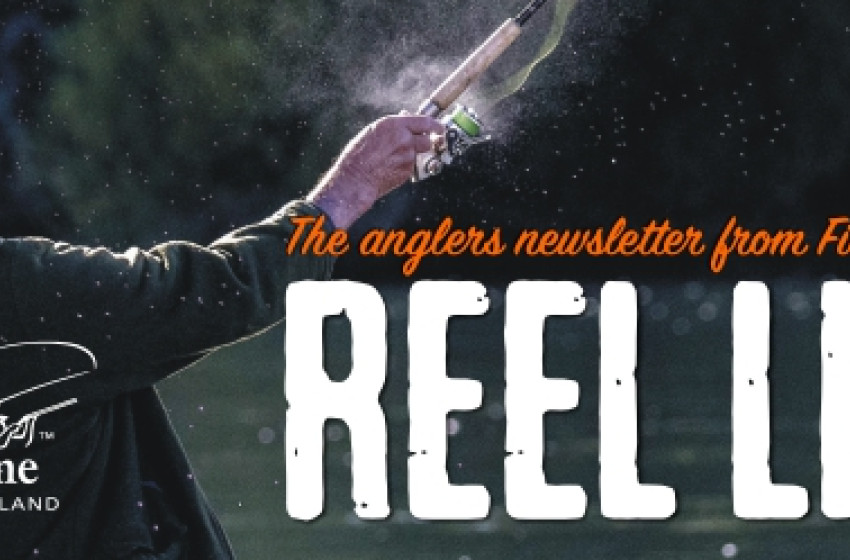 Reel Life November 2021