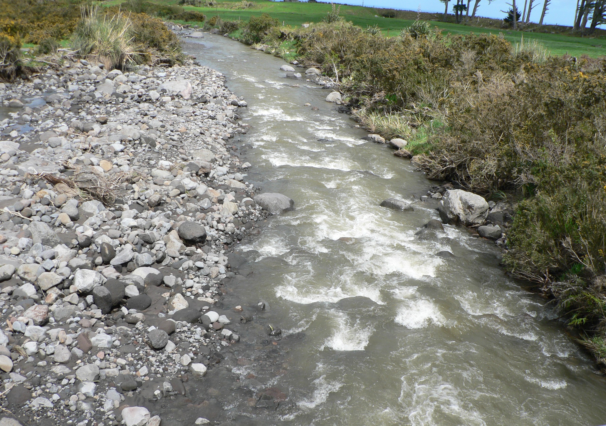 TRL3Nov21. The Waiaua River as seen from Wiremu Road
