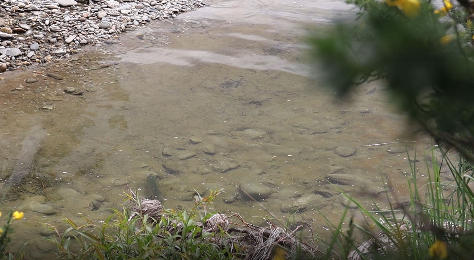 221115 Reel Life backwaters 1 