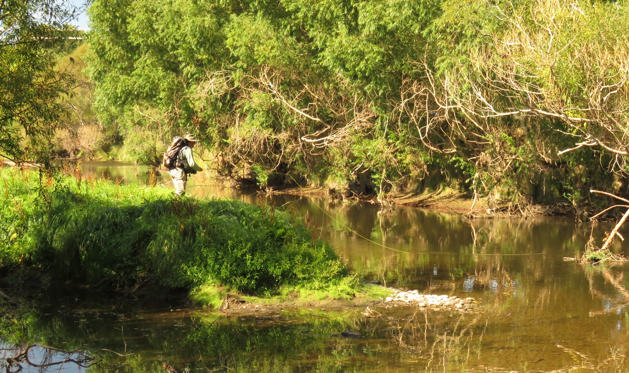 Lindsay Withington fishing Makarewa2