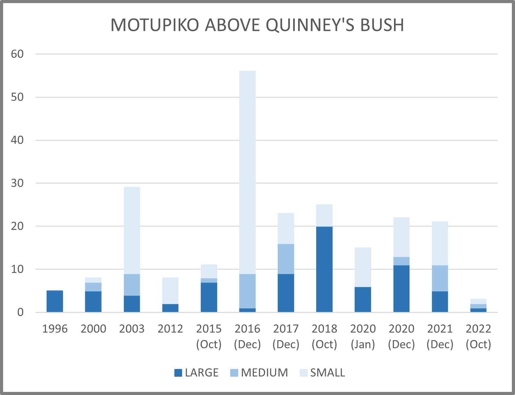 Motupiko above Quinneys