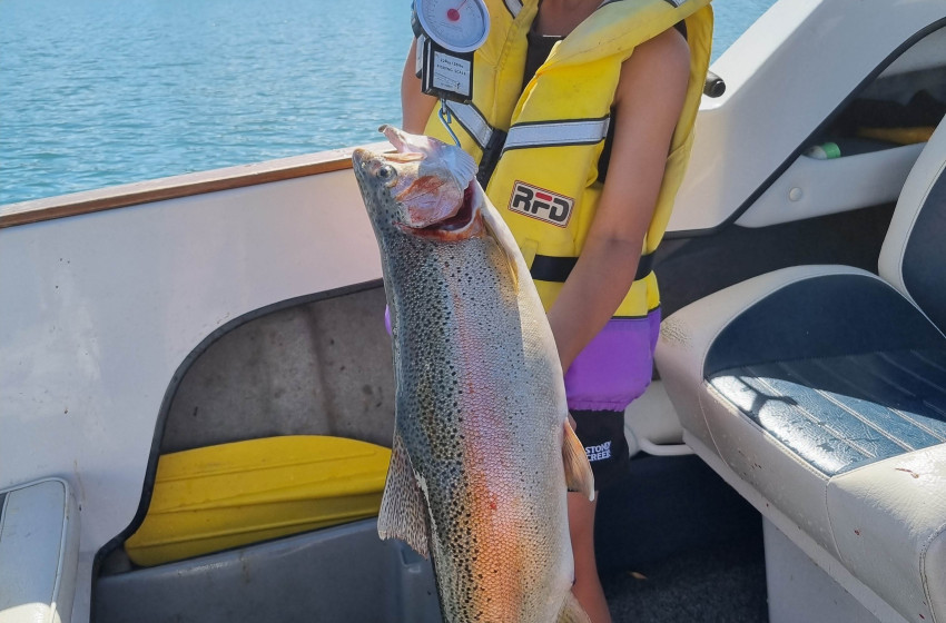 Reel Life November 2022