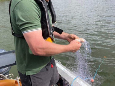 received 686621209404121