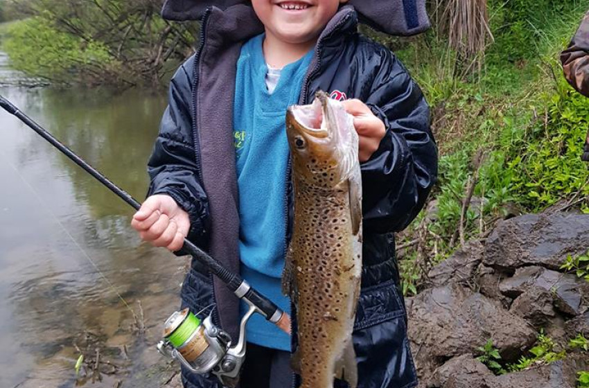 Auckland / Waikato Reel Life October 2018