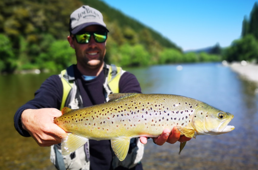 Nelson / Marlborough Reel Life October 2018