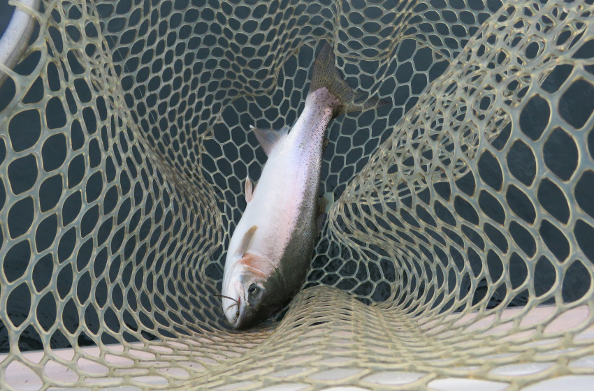 Hawke's Bay Reel Life October 2018