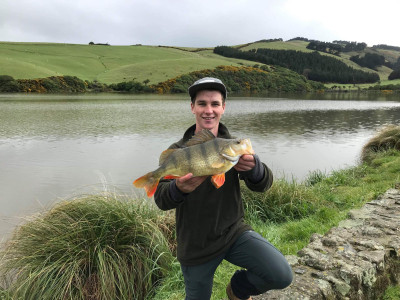 Riley Smith Dunedin Tomahawk Perch