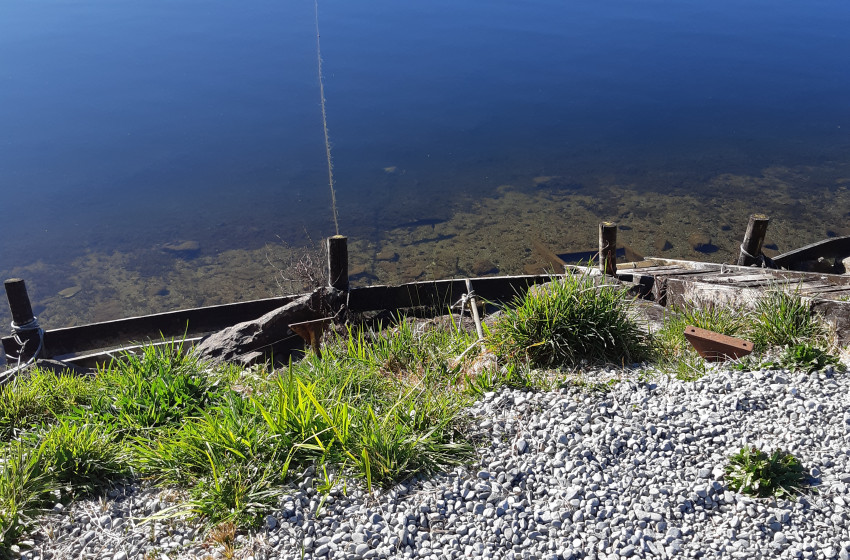 West Coast Reel Life October 2019