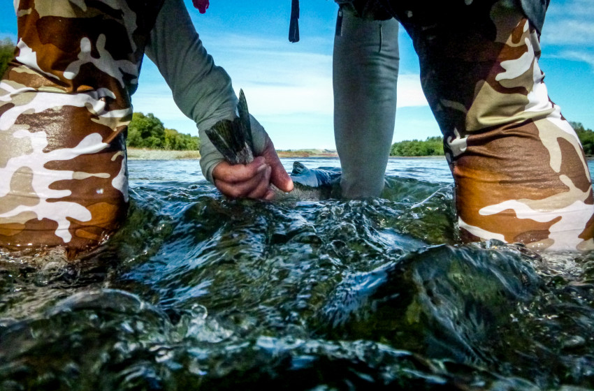 Hawke's Bay Reel Life October 2019