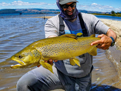 Photo by Dion James of Rotorua Sight Fishing Adventures