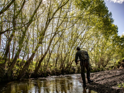 Small stream fishing Dunsdale 2