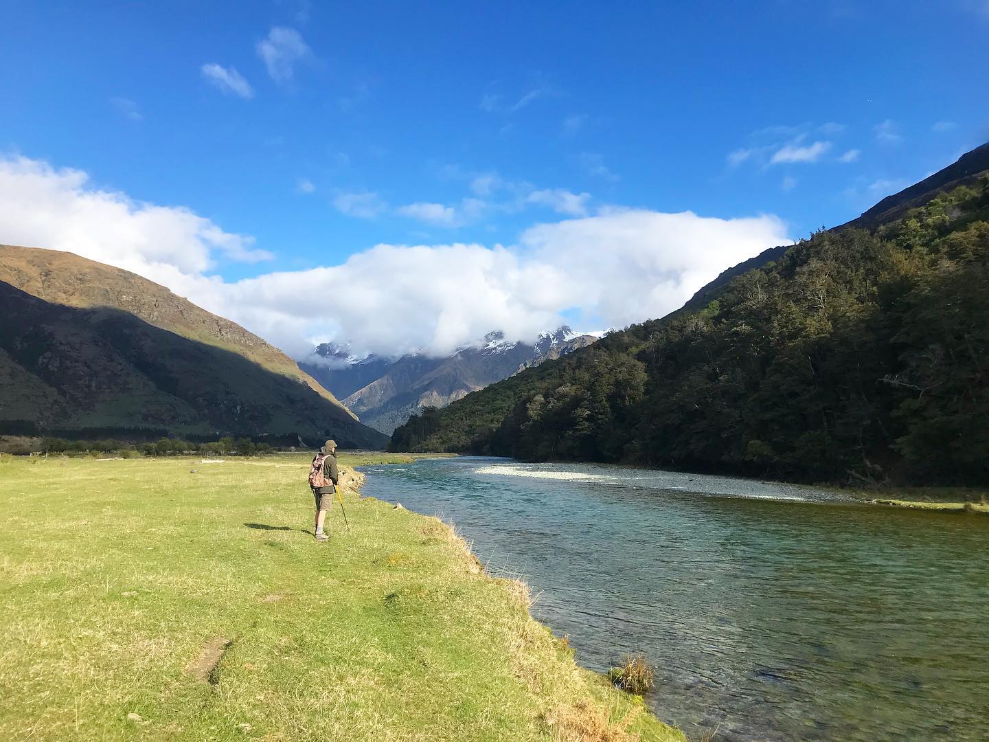 Wakatipu rainbows