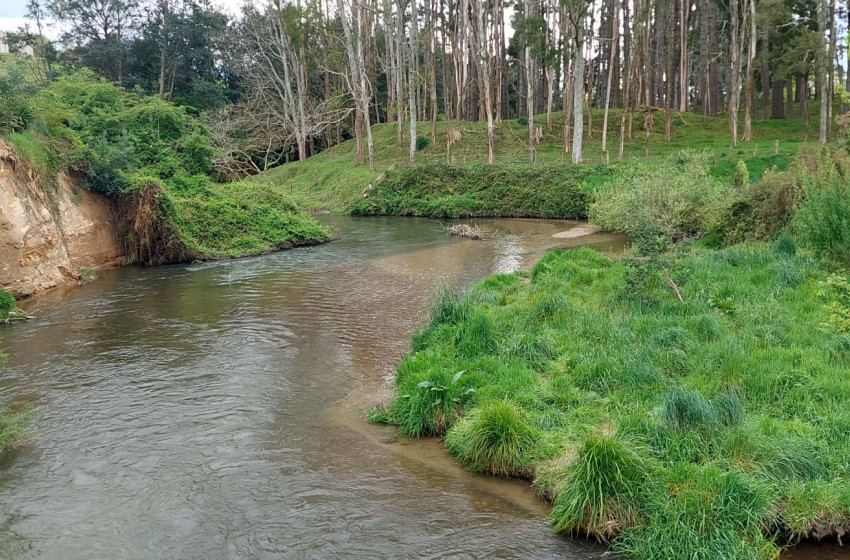 Reel Life October 2023