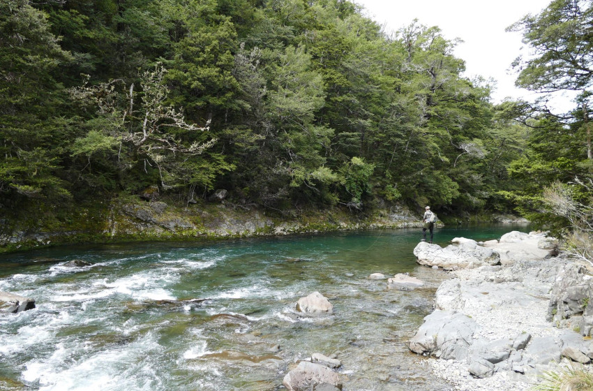 Hawke's Bay Reel Life September 2018