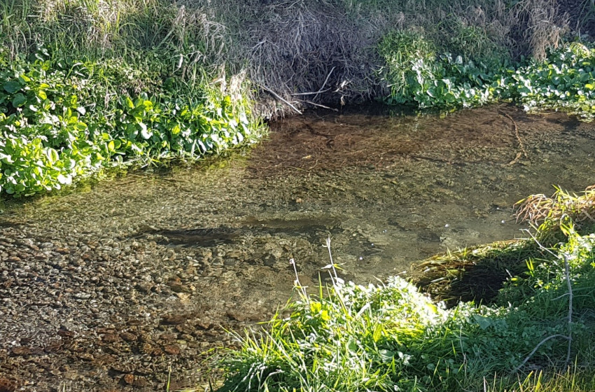 North Canterbury Reel Life September 2018