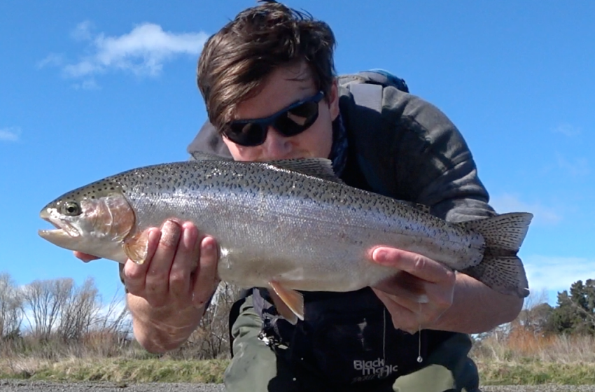 Hawke's Bay Reel Life September 2019