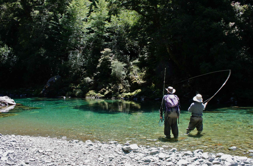 Wellington Reel Life September 2019
