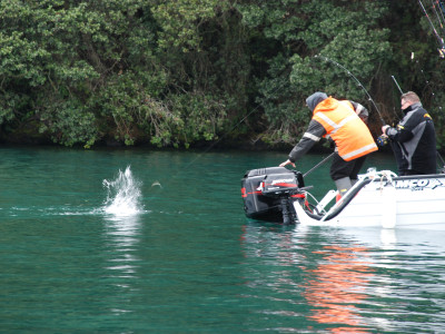 Opening action on the Rotorua lakes is that one tagged