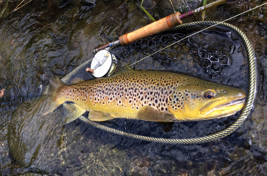 Taranaki Reel Life September 2019