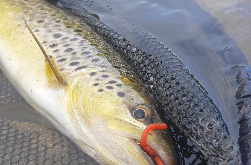 West Coast Reel Life September 2019