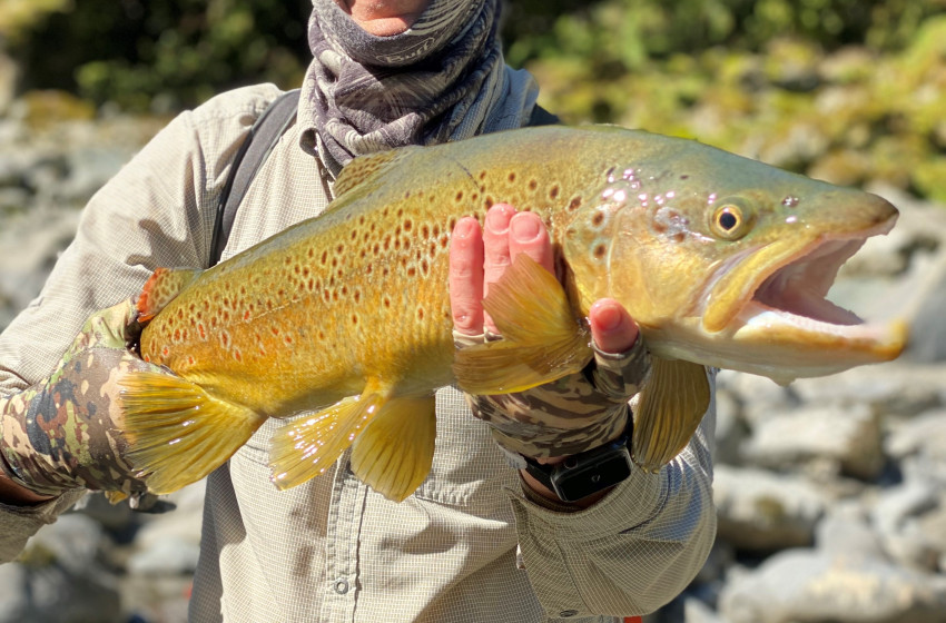 Reel Life September 2020