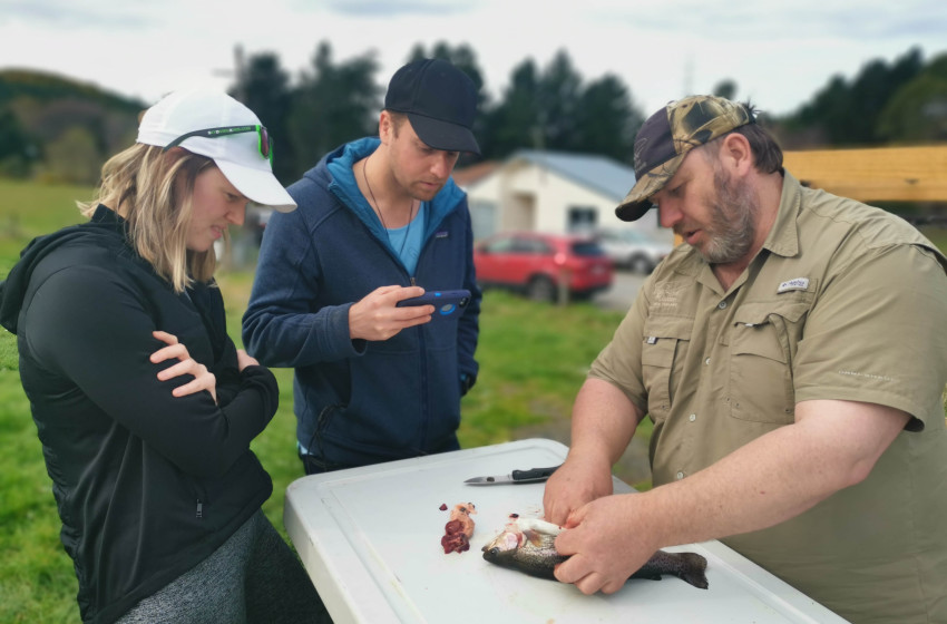 Reel Life September 2020