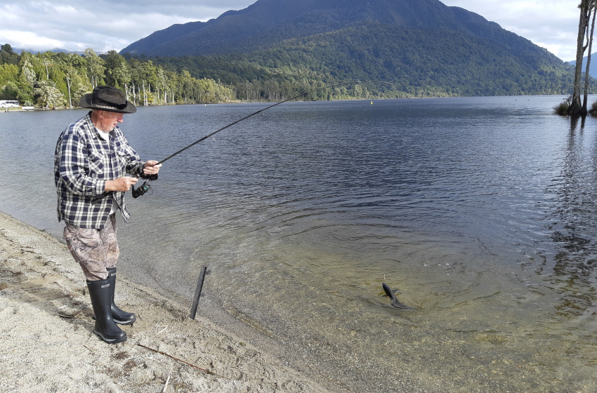 Reel Life September 2020