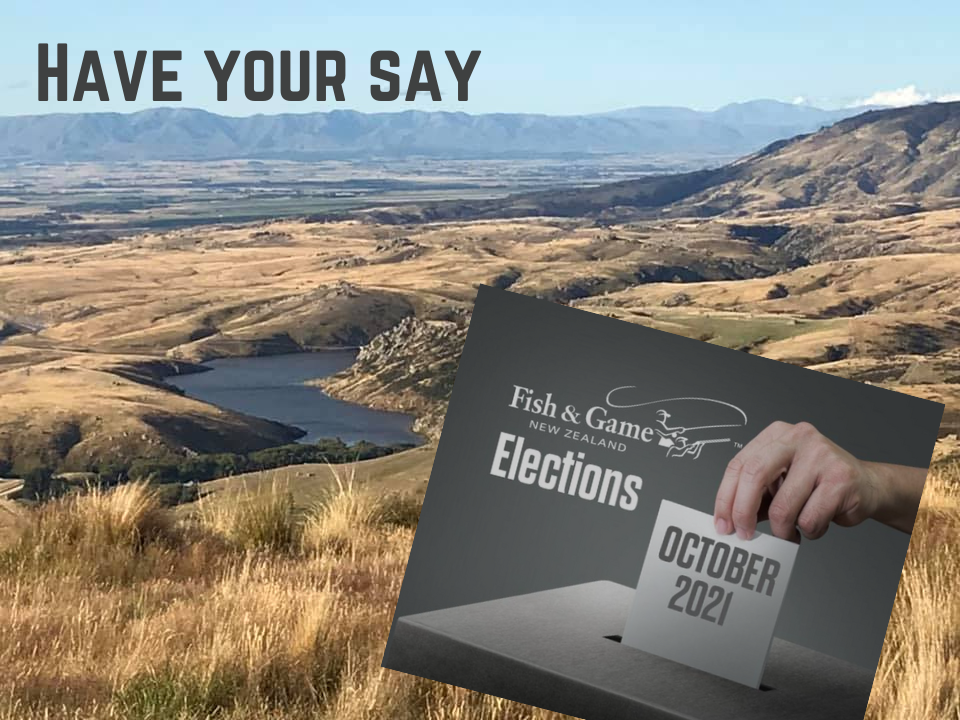 210831 Election Facebook post