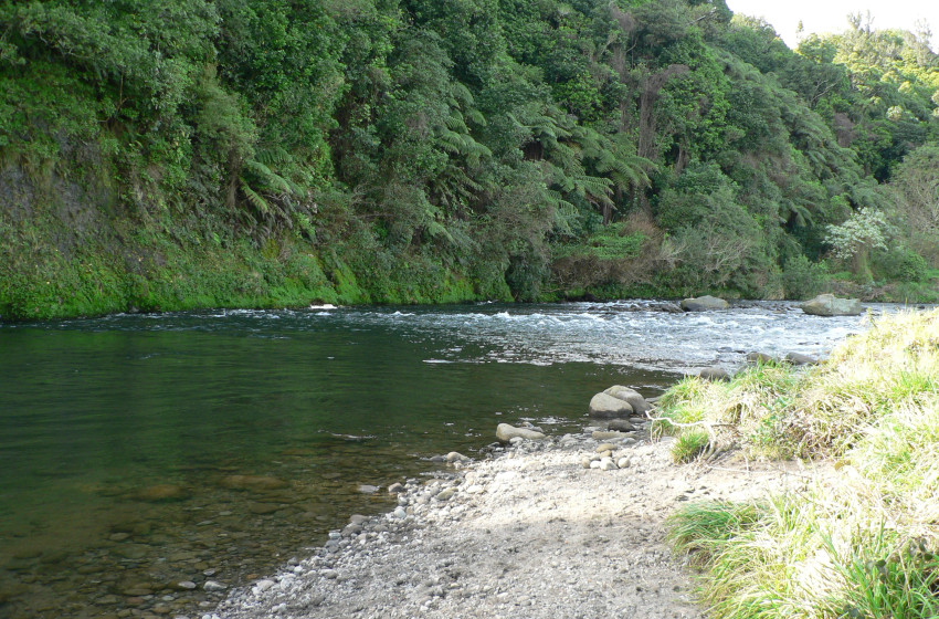 Reel Life September 2021