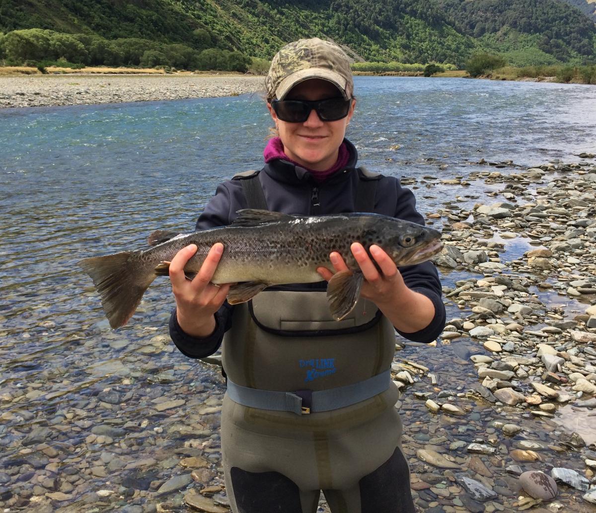 PHOTO 2 SOUTHLAND FEB 2017 