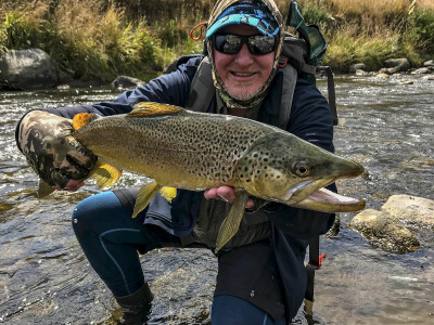 RLT1Jan2020. Ian Stuart with an awesome January ringplain brown 1