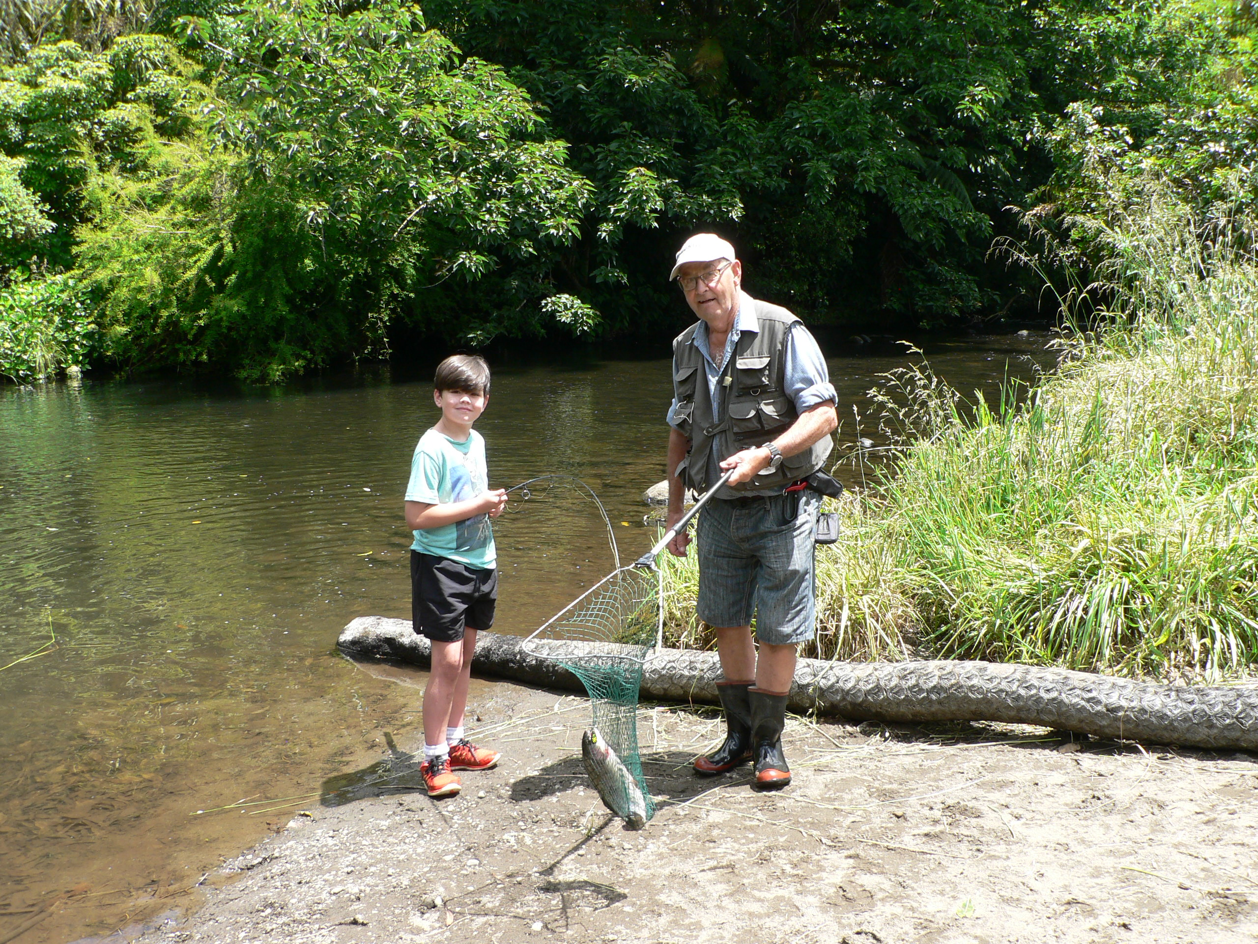 TRL2Nov19. Stratford Fishing Club member Brian Davies nets a rainbow trout for a successful angler at last years event.