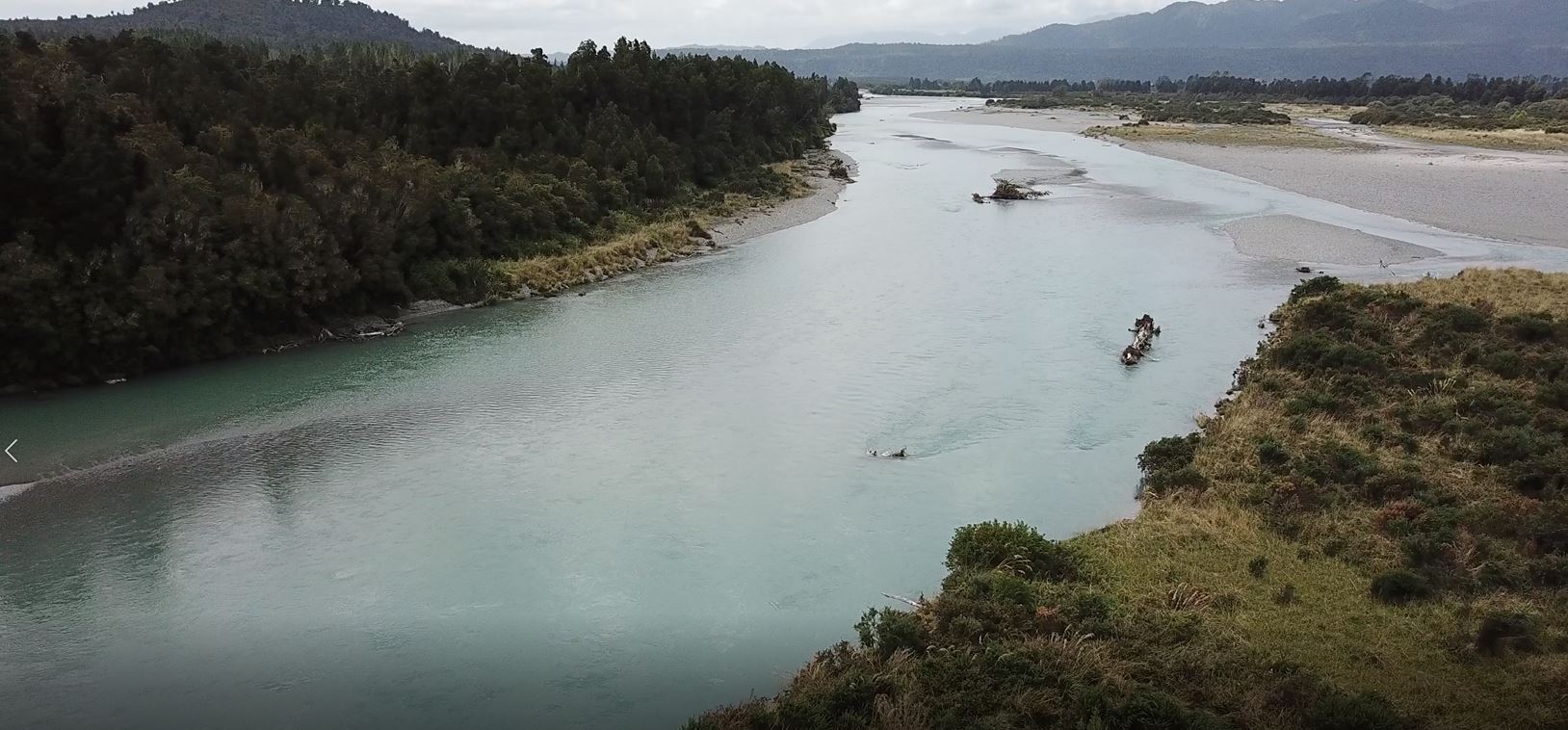 Anglers Have Begun Catching Salmon From Local Rivers Following Recent Freshes