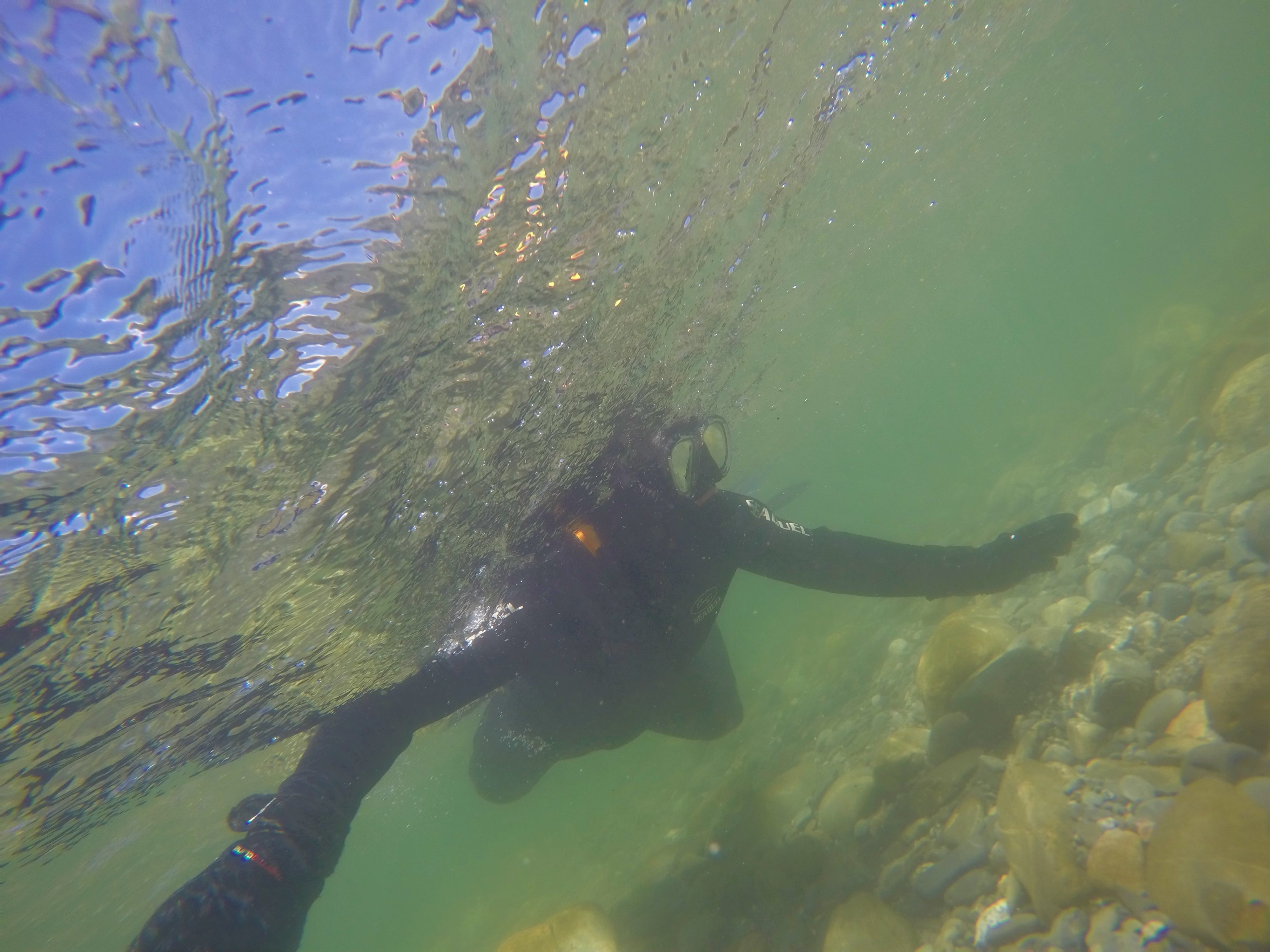 WC3 RL February 2020